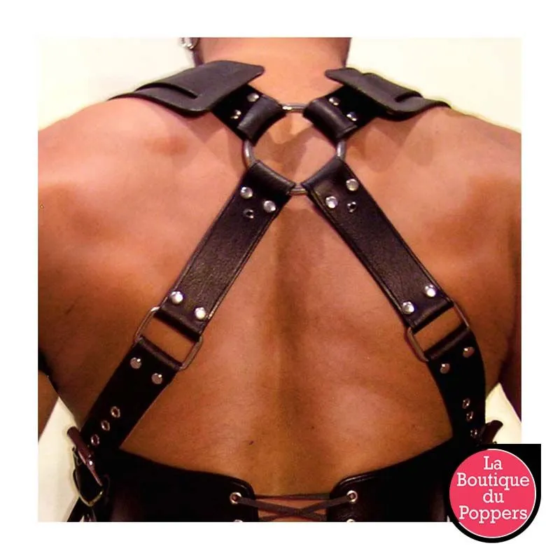 LBP - LRP Associes Harnais Gladiator Should Noir – Image 3