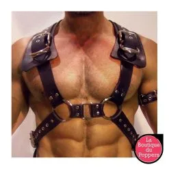 LBP - LRP Associes Harnais Gladiator Should Noir