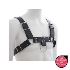LBP - LRP Associes Harnais SM Upper Body Chest