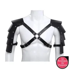 LBP - LRP Associes Harnais Type Gladiateur