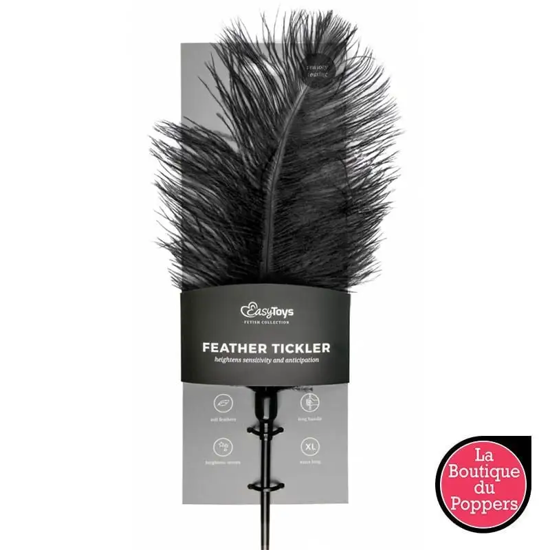 LBP - LRP Associes Plumeau à Caresses – Image 2